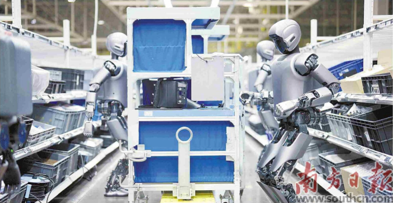 優(yōu)必選工業(yè)人形機(jī)器人在工廠開展協(xié)同實(shí)訓(xùn)。 南方日?qǐng)?bào)記者 朱洪波 通訊員 羅艷 攝